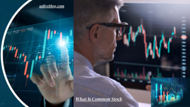 What Is Common Stock
