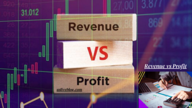 Revenue vs Profit