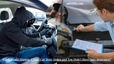 What Would Happen If Your Car Were Stolen and You Didn't Have Auto Insurance?