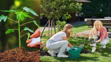 Garden Guide Homenumental