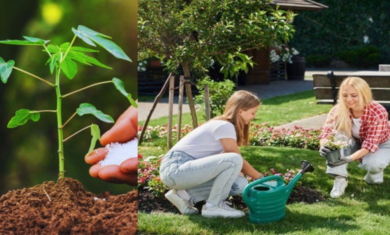 Garden Guide Homenumental