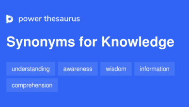 Knowledge Synonym
